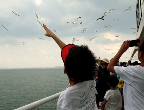 烟台-济南7日度假