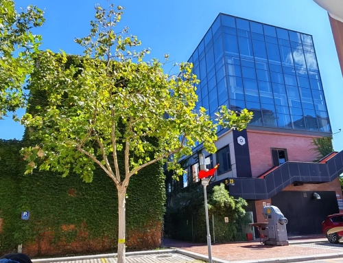 调整“十一”计划，不出京了