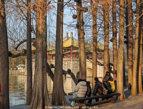 腊月又来了一次扬州