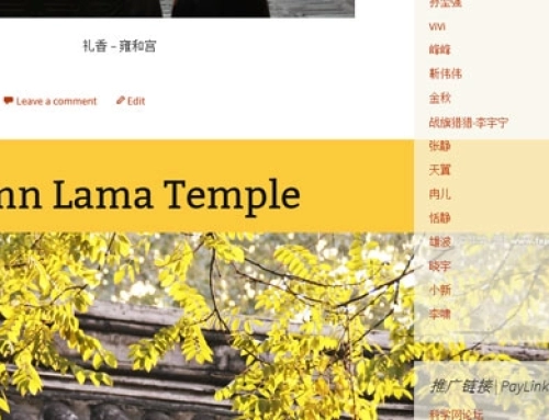 WordPress 3.6默认主题IE下相册图片宽度问题