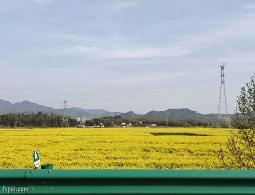 存几张2025年清明期间旅行照片记录