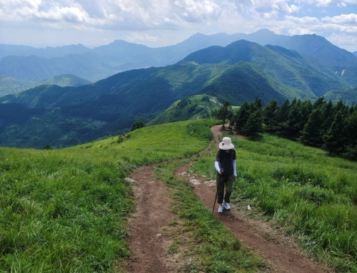 秋林铺-百花山环穿