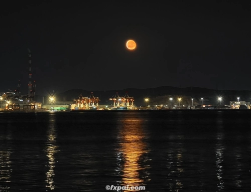 威海八天大假期（一）