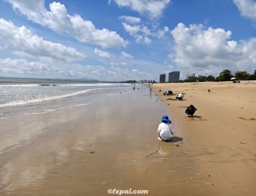 威海八天大假期（二）