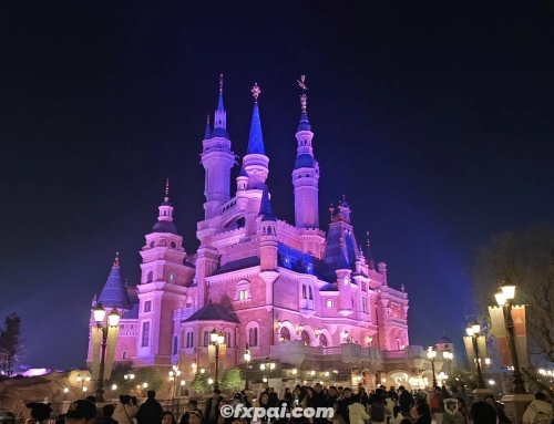 上海迪士尼与魔都漫游✨