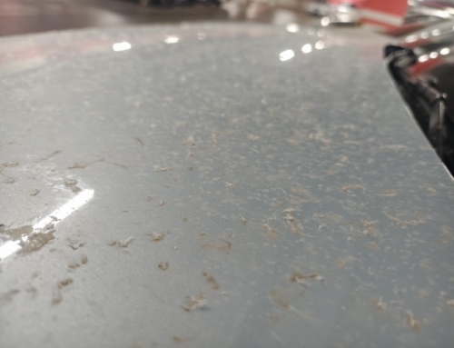 北京春天的馈赠